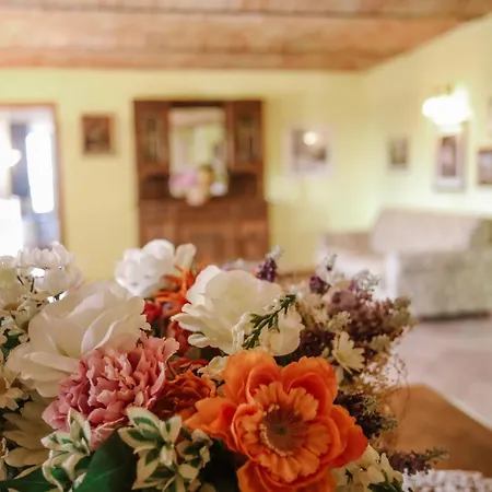 La Casa Di Alice Apartment *